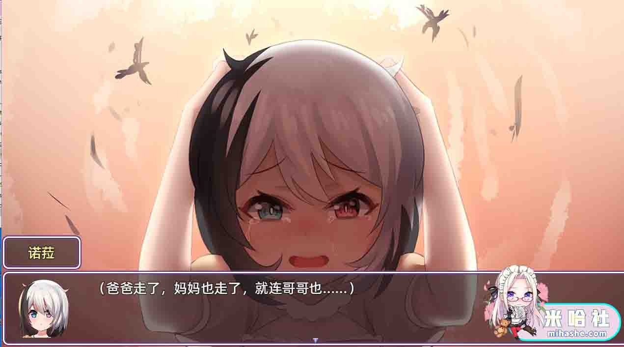 光与影的二重身 王国冒险 资料图 4